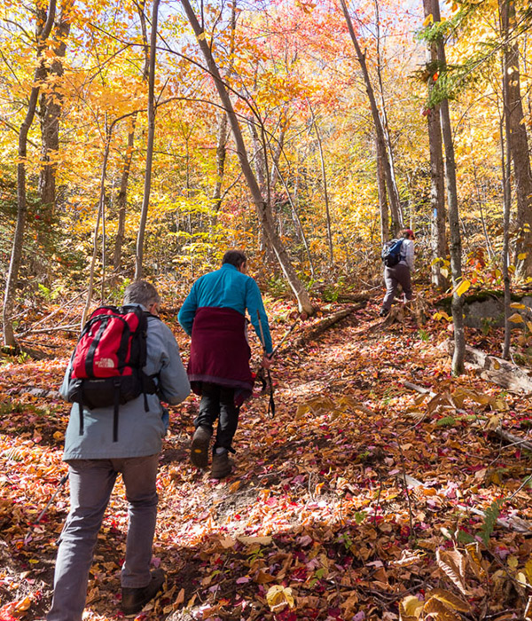 Fall Hiking by Shenandoah National Park