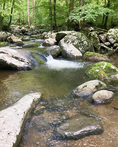 High on mountain in the summer on the Rose River