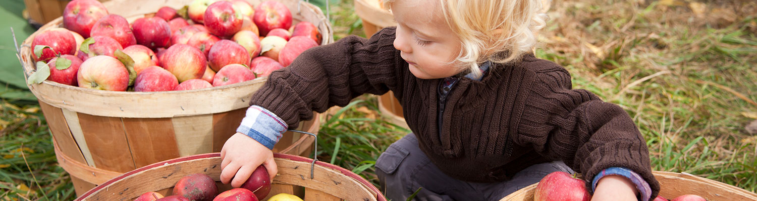 Apple Hrvest Festival at Graves Mountin Farm