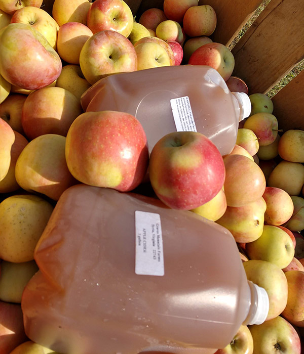 Apples and Apple Cider from Graves Mountain Farm