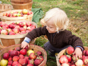 Apple Hravest Festival at Graves Mountain - October weekends