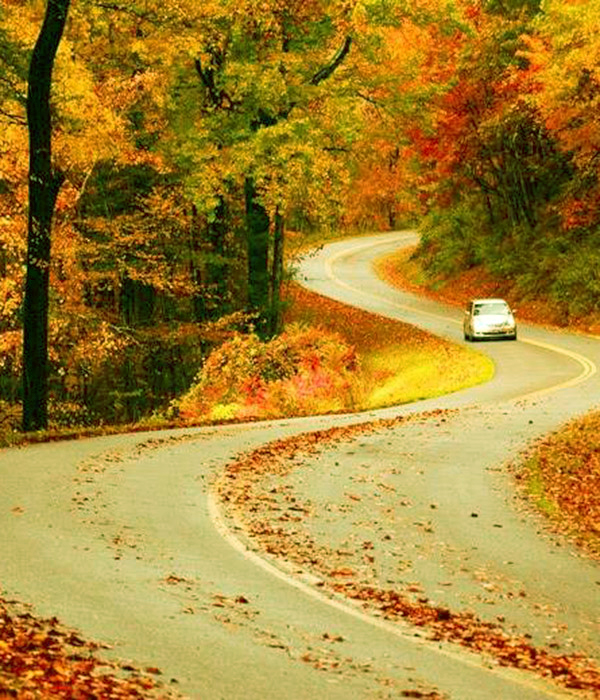 Car Cruising & Leaf Peeping on our Holler Byways