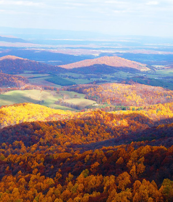 Fall colors from top of our Blue Ridge