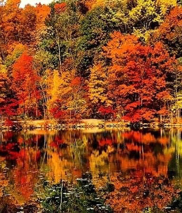 Meadows Pond - Fall at Graves Mountain Farm