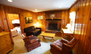 Living room with fireplace