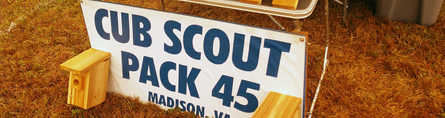 cubscout_1500x400 cubscout_1500x400