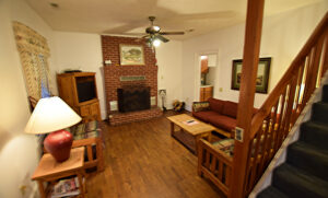 Living area with fireplace