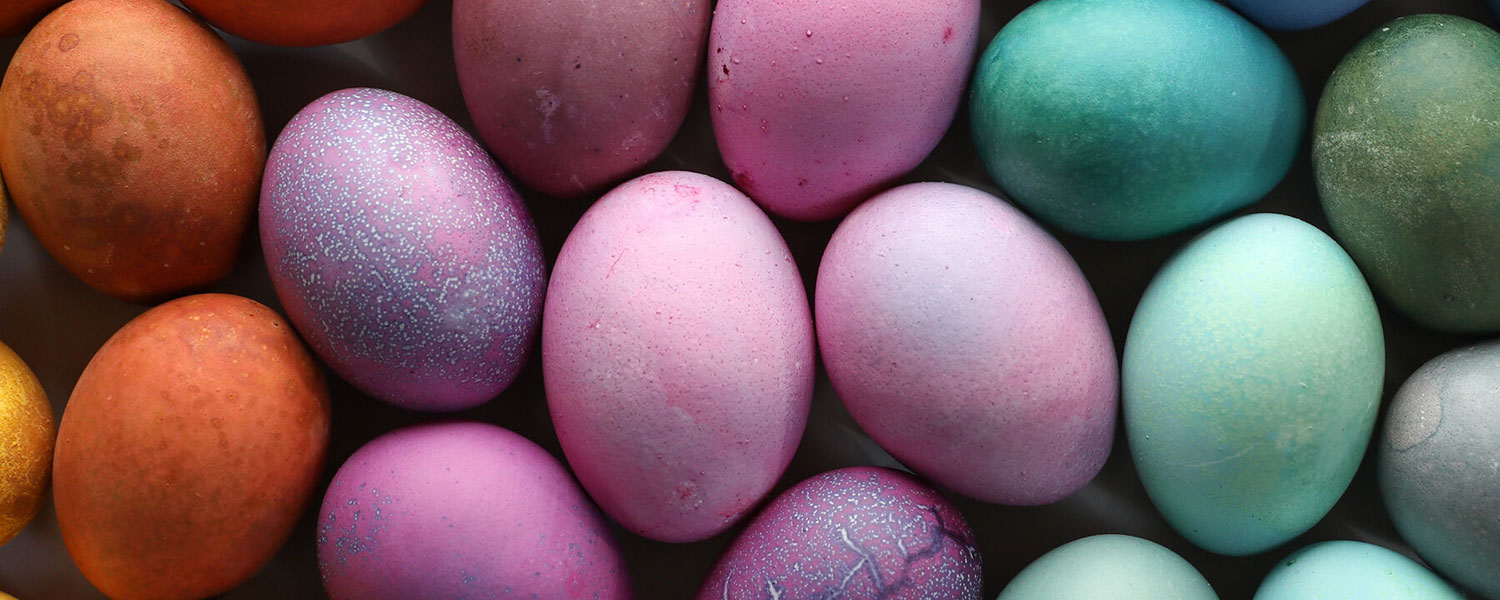 Easter Egg Dyeing at Graves Mountain Farm & Lodges