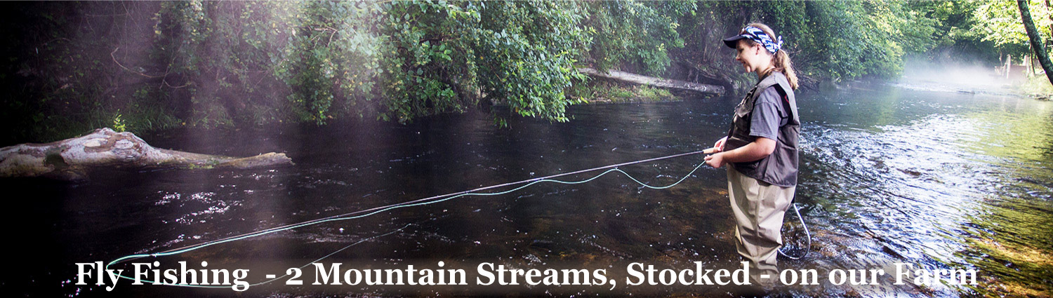 Fly Fishing at Graves Mountain Farm in the Blue Ridge