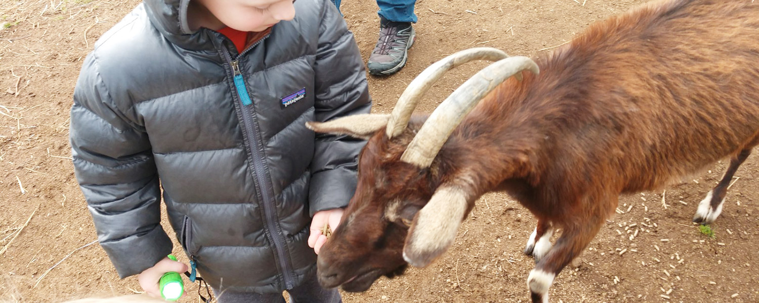 exp_goat_boy_1500x600 Goats at Graves Mountain Farm by Shehnandoah National Park