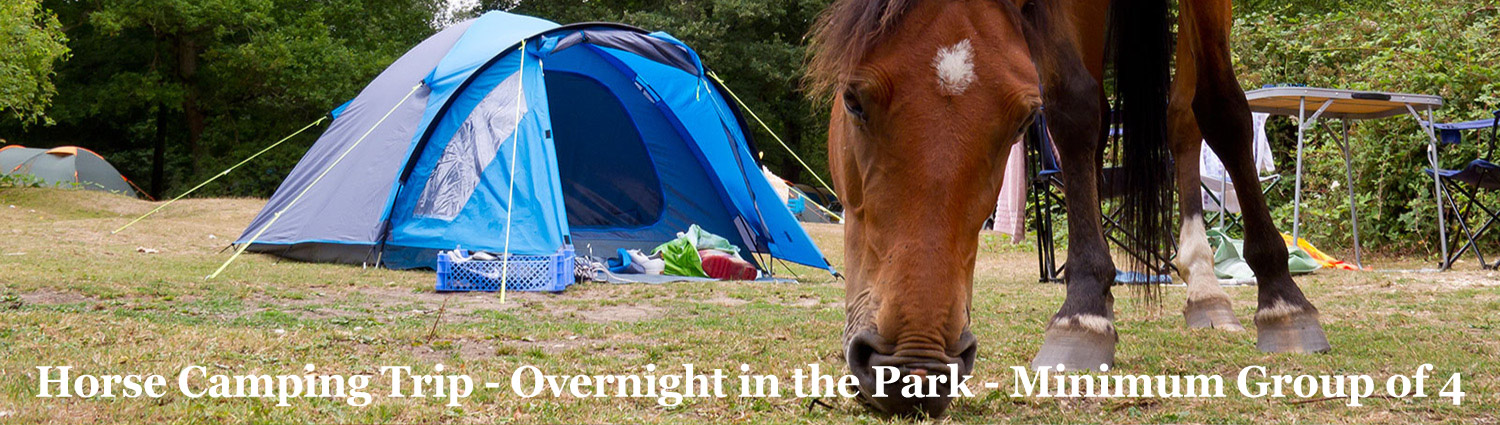 Overnight Horse Trek in the Blue Ridge from Graves Mountain