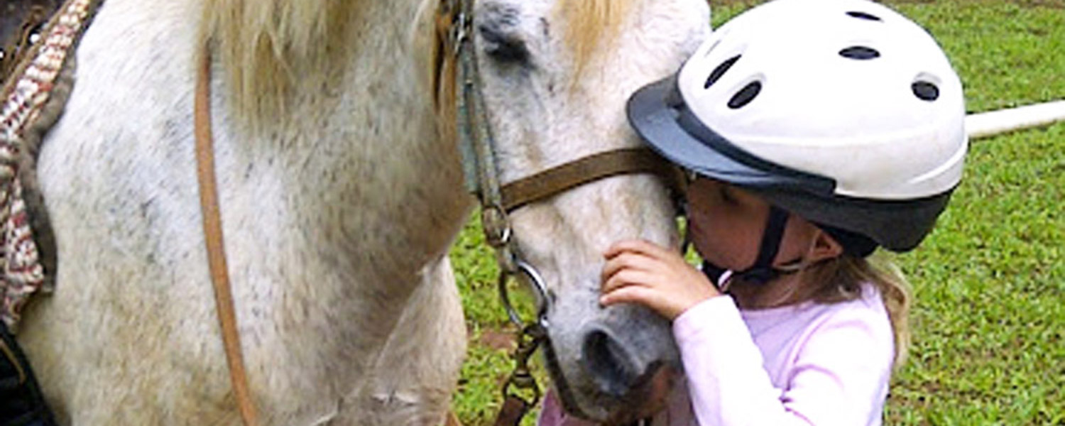 Ponies at Graves Mountain Farm and Lodges by Shenandoah National Park