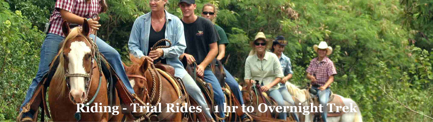 Riding Horseback at Graves Mountain