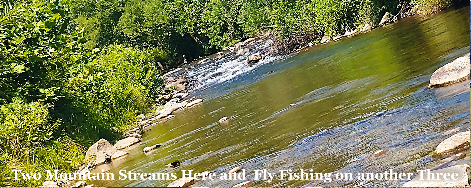 Streams at Graves Mountain Farm & Lodges in the VA Blue Ridge