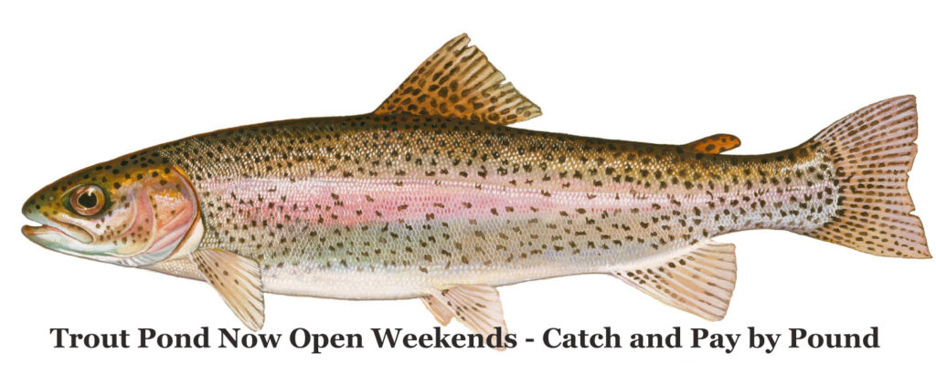 Trout Pond Fishing - stocked and ready to go at Graves Mountain Farm & Lodges