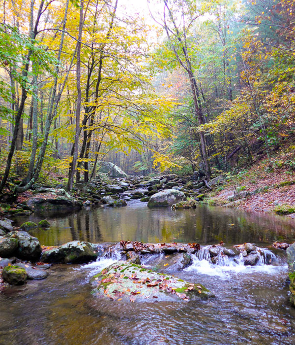 Fall Blue Ridge stream