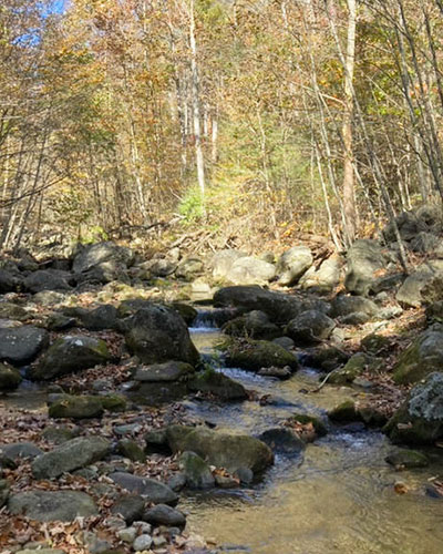 Autumn high on the mountain - Rose River, where we find the natives.