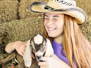 Farm Yard Exploring with the goats, chickens, pet pigs and calf