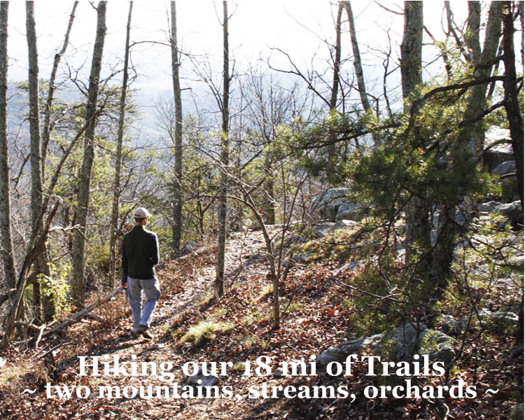 Hiking on our 18 miles of Trails at Graves Mountain Farm & Lodges - VA Blue Ridge