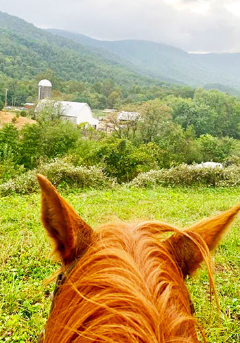 Hirse Trail Riders - by Shenandoah National Park - 18 miles of trails on the 1800 acre fram plus 100 more in the Park