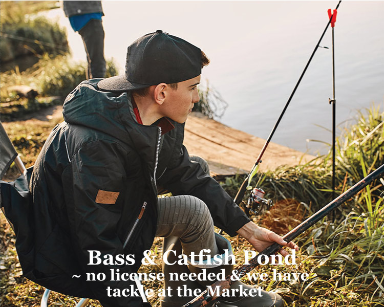 Pond fishing at Graves Mountain Farm & Lodges in VA Blue Ridge.