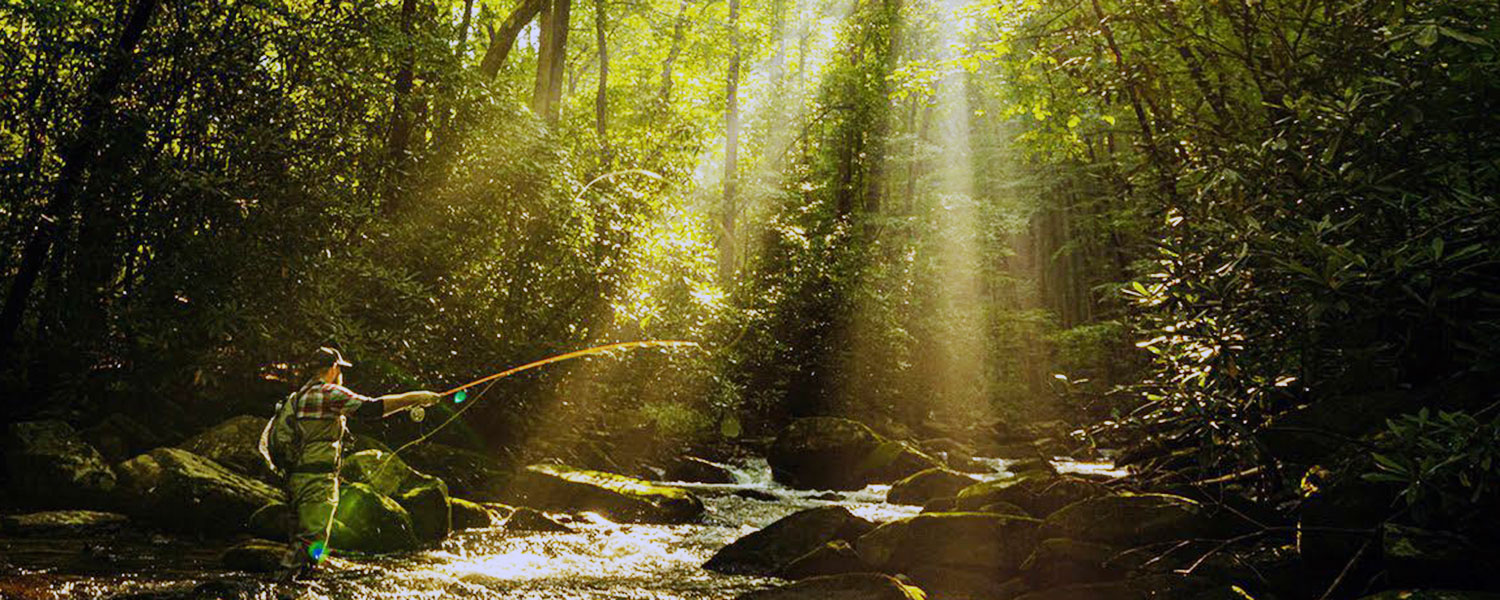 Native Brook Trout Fishing at Graves Mountain Farm & Lodges