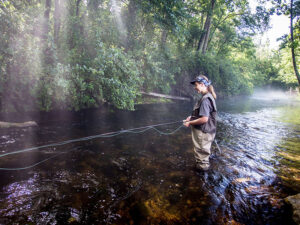 Fly Fishing for Mountain Native Trout by Upper Cabin