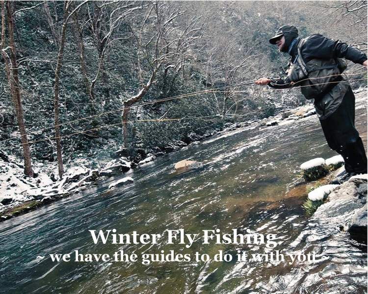 Winter Fly Fishing on two mountain streams at Graves Mountain Farm & Lodges n the VA Blue Ridge