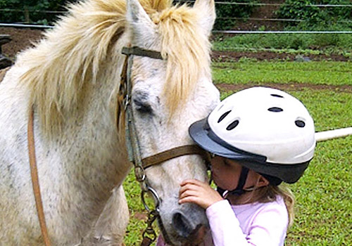 Get to know the horse at Graves Mountain Farm & Stables in the VA Blue Ridge