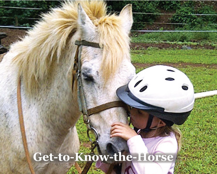 Pony rides and Get to Know the Horse at Graves Mountain Farm & Lodges in the VA Blue Ridge