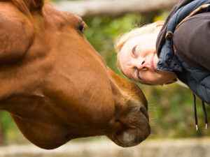 Get to Know the Horse - at the stable