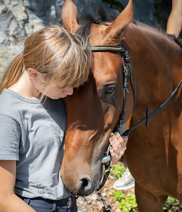 Get to know the horse at Graves Mountain Stables