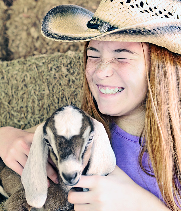 Farmyard animals during the Fall at Graves Mountain Farm & Lodges