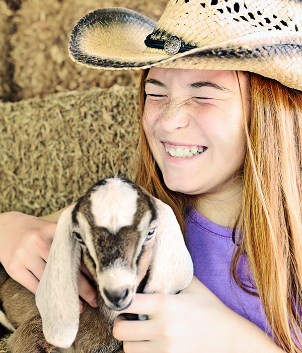 Playing with goats and pigs at Graves Mountain Farm & Lodges - Sat & Sun mornings