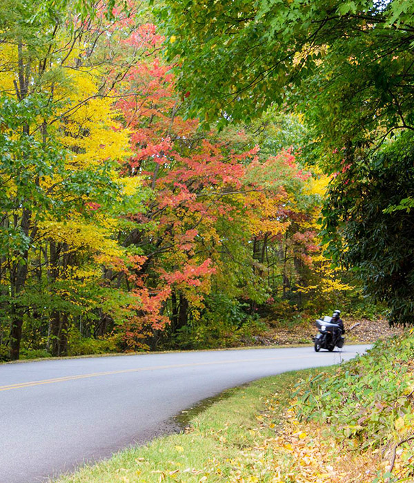 harley_600x700 Motorcyle riding the VA Blue Ridge & Skyline Drive from Graves Mountain Farm & Lodges
