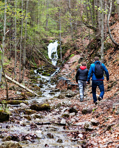 Hiking with Dogs, Hiking with Big Goals - branch into Shenadoah National Park at Graves Mountain Farm & Lodges