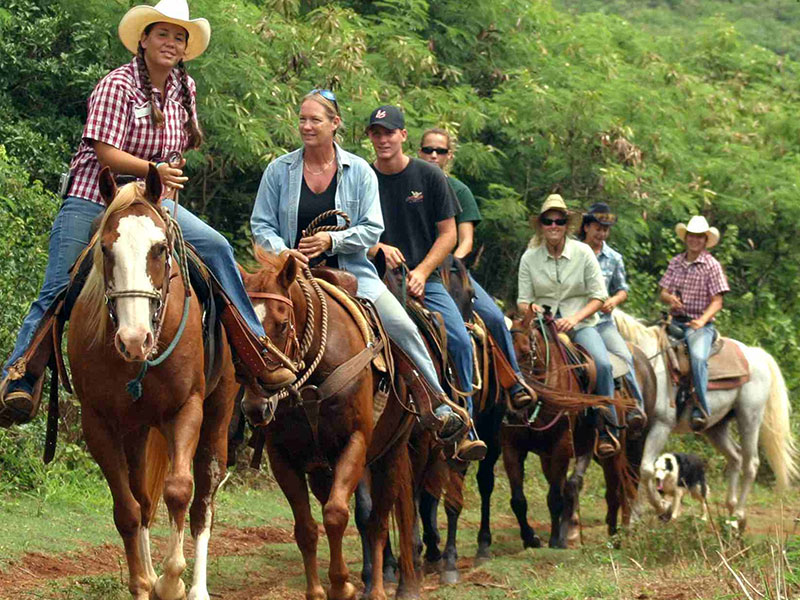 Horse-back riding on our 18 miles of trails that lead to 100 miles in the National Park