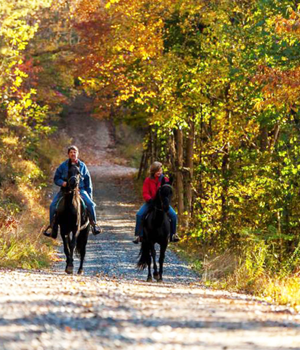 Fall colors trail riding - your horse or ours at Graves Mountain Farm & Lodges in the VA Blue Ridge