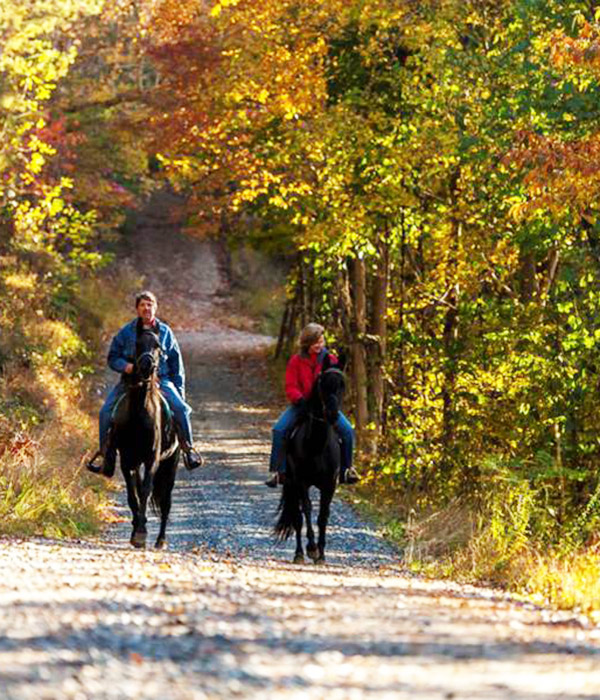 horseback-600x700 Fall colors trail riding - your horse or ours at Graves Mountain Farm & Lodges in the VA Blue Ridge