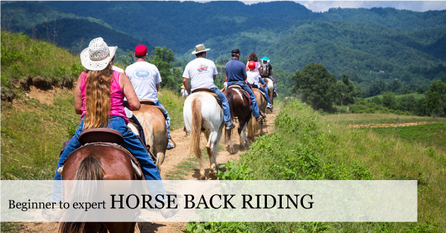 Blue Ridge Horse Back Riding - trail rides for beginner to expert. Lessons. Or Just get on and discover with Eddie and Leah here at the Farm