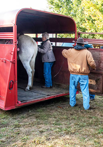 day Parking for Horse Trail Rides on VA Blue Ridge Trails & Shenandoah National ParkA