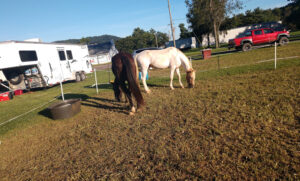 Horse camping group at Graves Mountain Campground