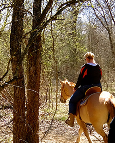 Trail Rides - Down to 8 Yrs