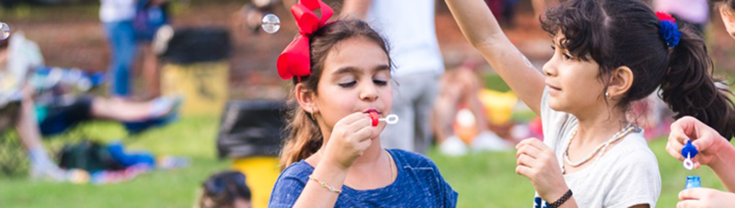 July 4th Picnic at Graves Mountain Farm & Lodges - with Fireworks for the County