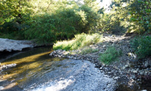 Stream - just 100 foot walk