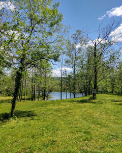 Meadows Pond - walk around on the way back to the Main Lodge, or returning up the Green Trail to Ridgecrest/Hilltop