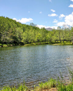 Meadows Pond - approach from east. Catch and release