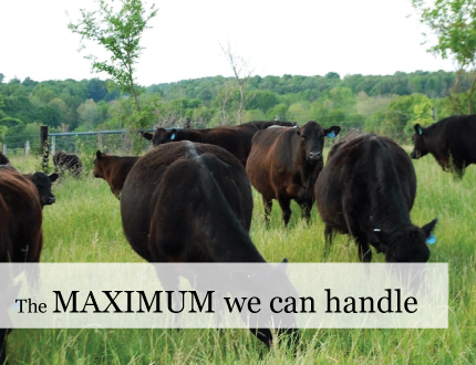Maximum meeting size that we can do well at Graves Mountain