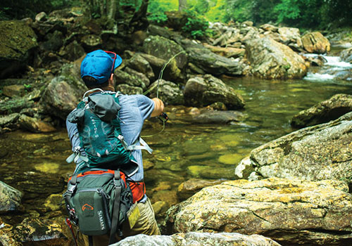 Working the Rose River - higher up in Shenandoah National ParkMountain Farm & Lodges in VA Bluw Ridge