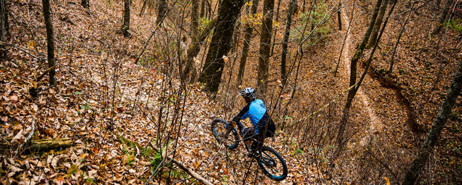 High Elevation to Technical Mountain BIking at Graves Mountain Farm